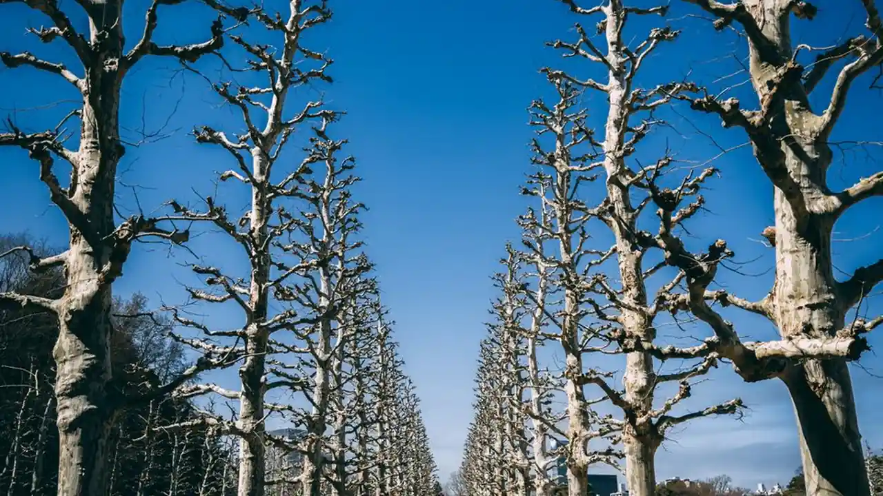 陈昀雪头像