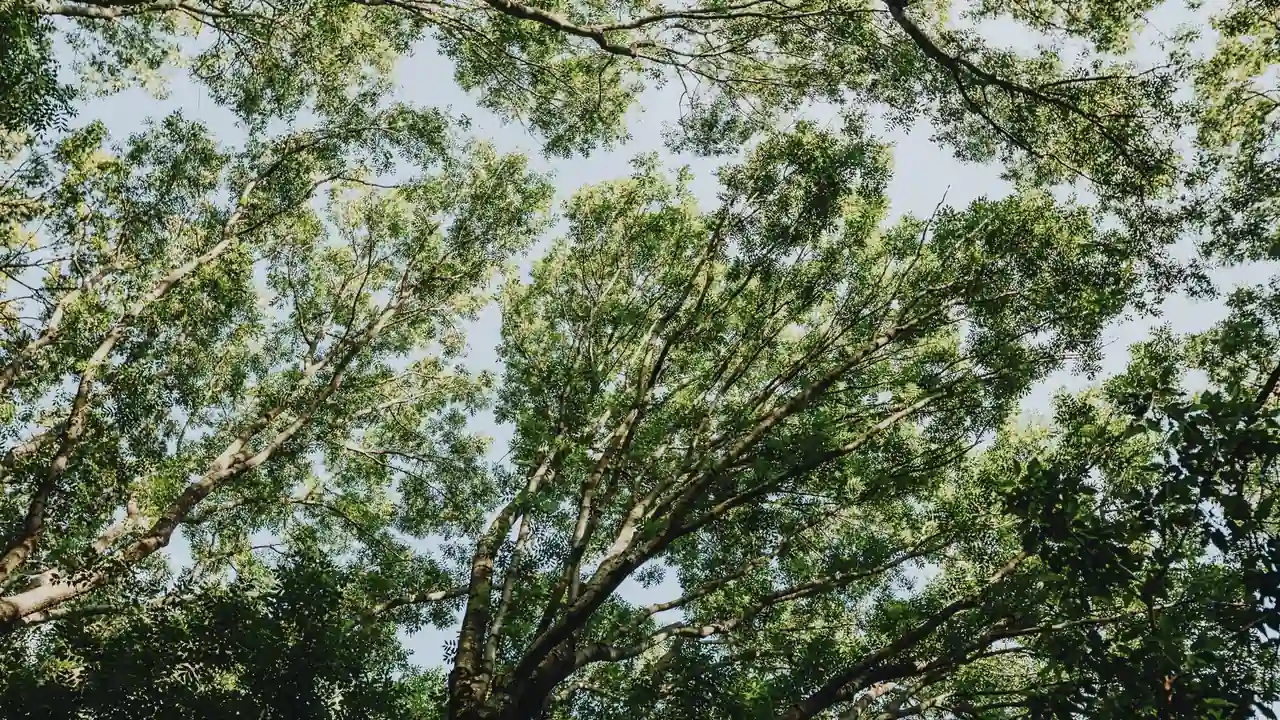 孙维芬头像