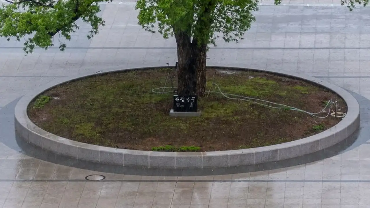 羞羞小视频官网下载与安装步骤指南