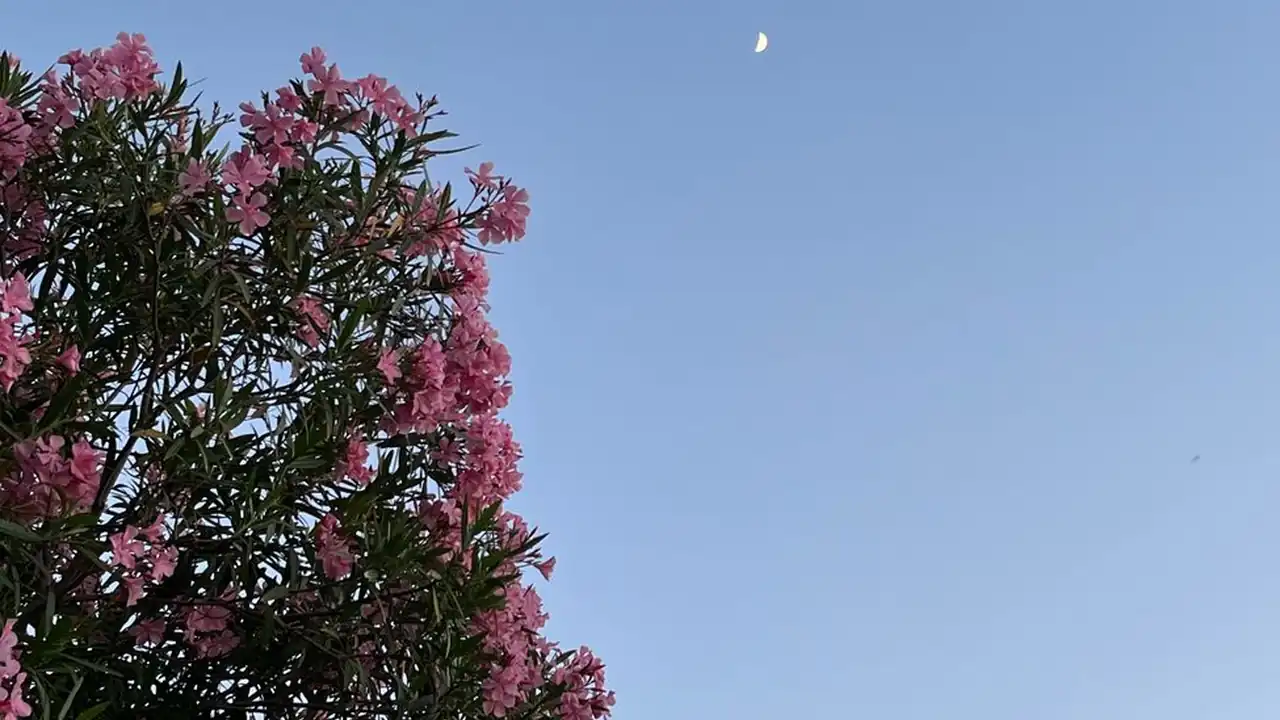 可无限看风险短视频的软件有哪些